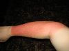 2005-05-22 16-59-18, 6424.JPG